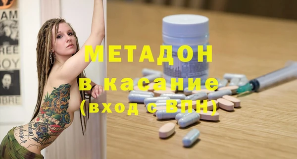 индика Алзамай