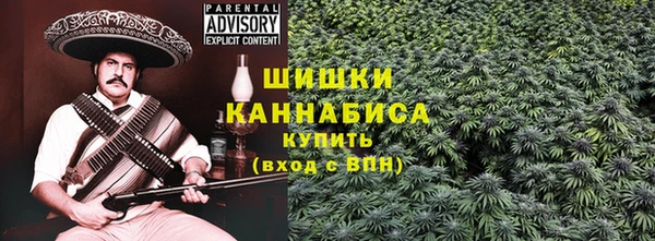 гидра Алексин
