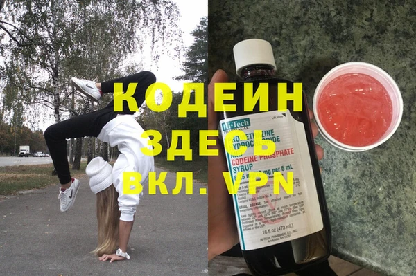 индика Алзамай