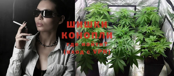 индика Алзамай