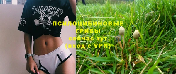гидра Алексин