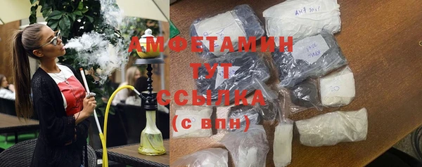 индика Алзамай