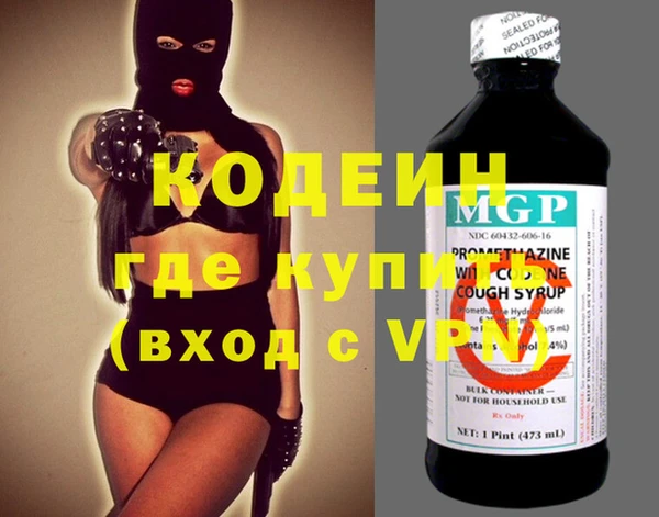 индика Алзамай