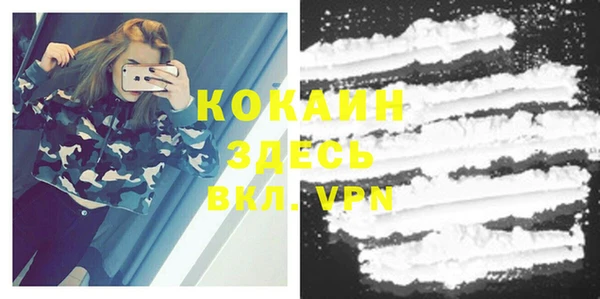 индика Алзамай