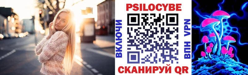 Галлюциногенные грибы Psilocybine cubensis  закладки  Сим 